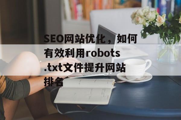 SEO网站优化,如何有效利用robots.txt文件提升网站排名 SEO网站优化,如何有效利用robots.txt文件提升网站排名