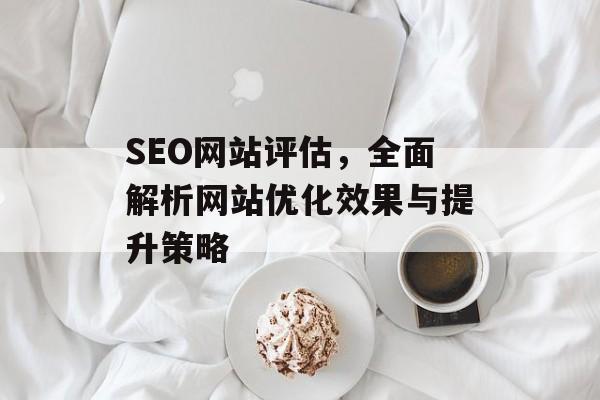 SEO网站评估，全面解析网站优化效果与提升策略
