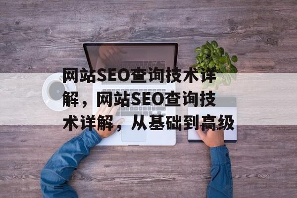 网站SEO查询技术详解,网站SEO查询技术详解,从基础到高级 网站SEO查询技术详解,网站SEO查询技术详解,从基础到高级