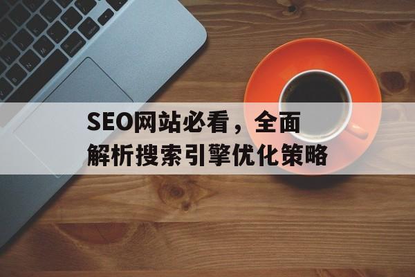 SEO网站必看，全面解析搜索引擎优化策略