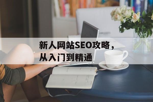 新人网站SEO攻略,从入门到精通 新人网站SEO攻略,从入门到精通