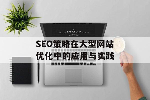 SEO策略在大型网站优化中的应用与实践 SEO策略在大型网站优化中的应用与实践