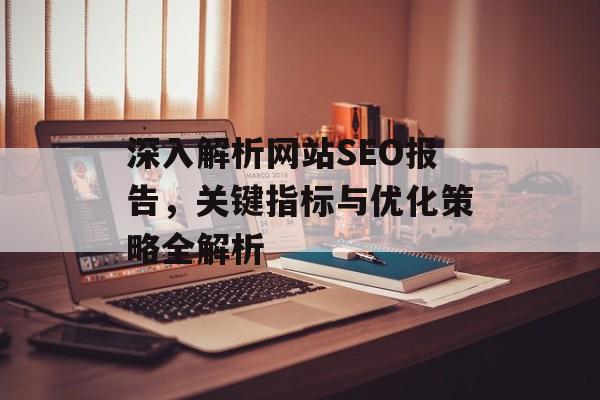 深入解析网站SEO报告,关键指标与优化策略全解析 深入解析网站SEO报告,关键指标与优化策略全解析
