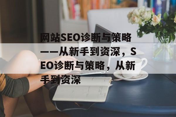 网站SEO诊断与策略——从新手到资深，SEO诊断与策略，从新手到资深