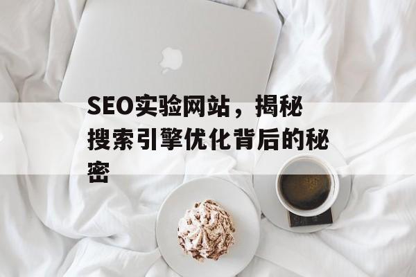 SEO实验网站,揭秘搜索引擎优化背后的秘密 SEO实验网站,揭秘搜索引擎优化背后的秘密