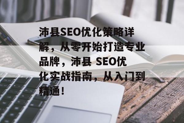 沛县SEO优化策略详解，从零开始打造专业品牌，沛县 SEO优化实战指南，从入门到精通！