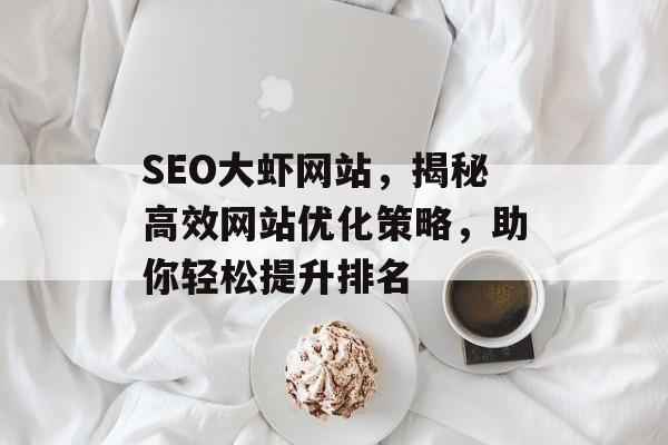 SEO大虾网站，揭秘高效网站优化策略，助你轻松提升排名