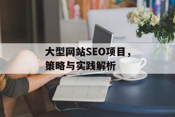 大型网站SEO项目，策略与实践解析
