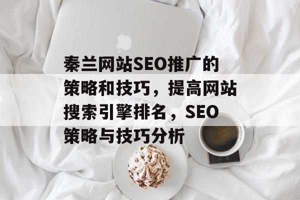 秦兰网站SEO推广的策略和技巧,提高网站搜索引擎排名,SEO策略与技巧分析 秦兰网站SEO推广的策略和技巧,提高网站搜索引擎排名,SEO策略与技巧分析