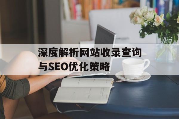 深度解析网站收录查询与SEO优化策略 深度解析网站收录查询与SEO优化策略