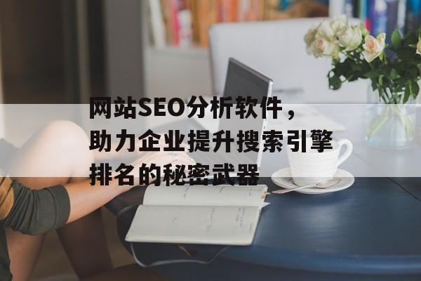 网站SEO分析软件,助力企业提升搜索引擎排名的秘密武器 网站SEO分析软件,助力企业提升搜索引擎排名的秘密武器