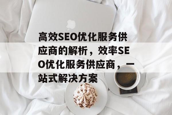 高效SEO优化服务供应商的解析,效率SEO优化服务供应商,一站式解决方案 高效SEO优化服务供应商的解析,效率SEO优化服务供应商,一站式解决方案