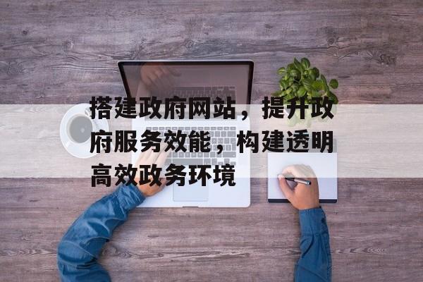搭建政府网站，提升政府服务效能，构建透明高效政务环境
