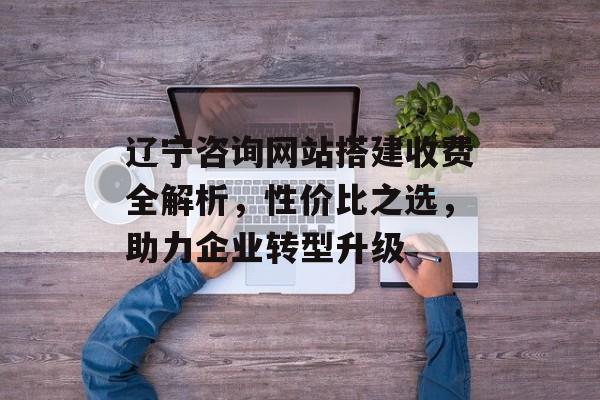 辽宁咨询网站搭建收费全解析,性价比之选,助力企业转型升级 辽宁咨询网站搭建收费全解析,性价比之选,助力企业转型升级