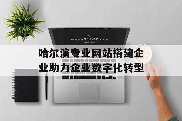 哈尔滨专业网站搭建企业助力企业数字化转型 哈尔滨专业网站搭建企业助力企业数字化转型