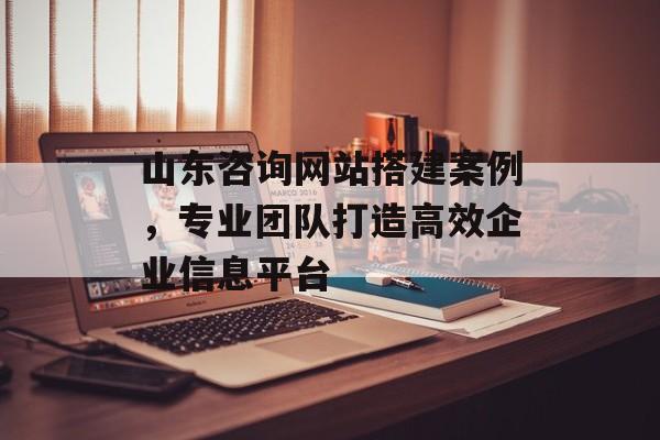 山东咨询网站搭建案例,专业团队打造高效企业信息平台 山东咨询网站搭建案例,专业团队打造高效企业信息平台