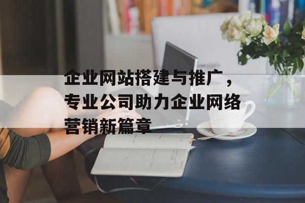 企业网站搭建与推广,专业公司助力企业网络营销新篇章 企业网站搭建与推广,专业公司助力企业网络营销新篇章