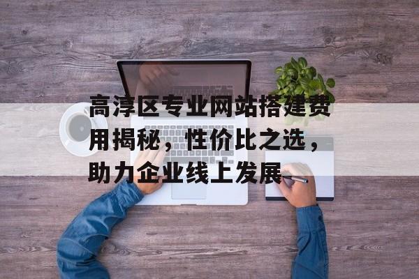 高淳区专业网站搭建费用揭秘，性价比之选，助力企业线上发展