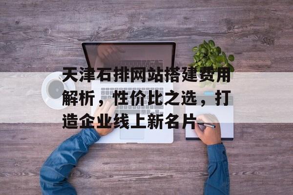 天津石排网站搭建费用解析,性价比之选,打造企业线上新名片 天津石排网站搭建费用解析,性价比之选,打造企业线上新名片