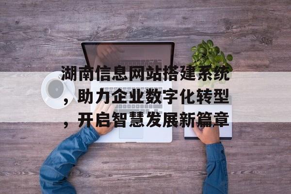 湖南信息网站搭建系统，助力企业数字化转型，开启智慧发展新篇章
