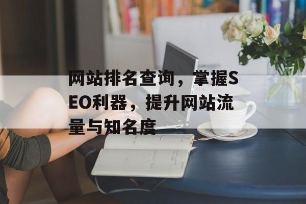网站排名查询，掌握SEO利器，提升网站流量与知名度