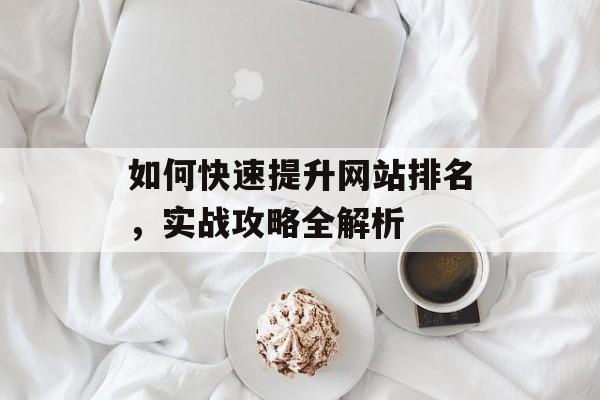 如何快速提升网站排名，实战攻略全解析