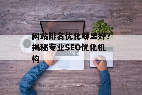 网站排名优化哪里好？揭秘专业SEO优化机构
