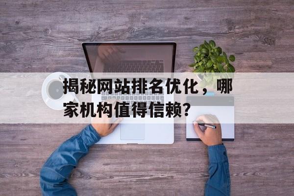揭秘网站排名优化，哪家机构值得信赖？