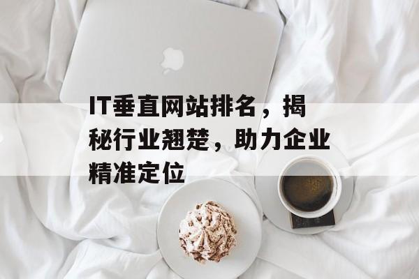 IT垂直网站排名，揭秘行业翘楚，助力企业精准定位