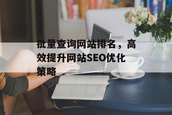 批量查询网站排名，高效提升网站SEO优化策略