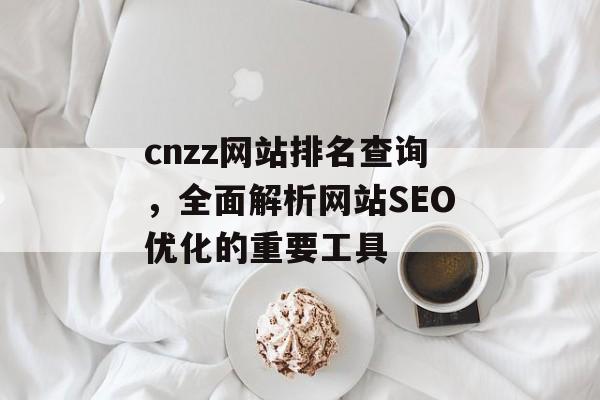 cnzz网站排名查询，全面解析网站SEO优化的重要工具