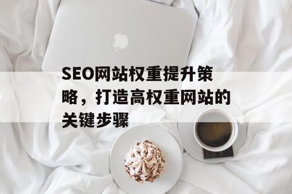 SEO网站权重提升策略,打造高权重网站的关键步骤 SEO网站权重提升策略,打造高权重网站的关键步骤