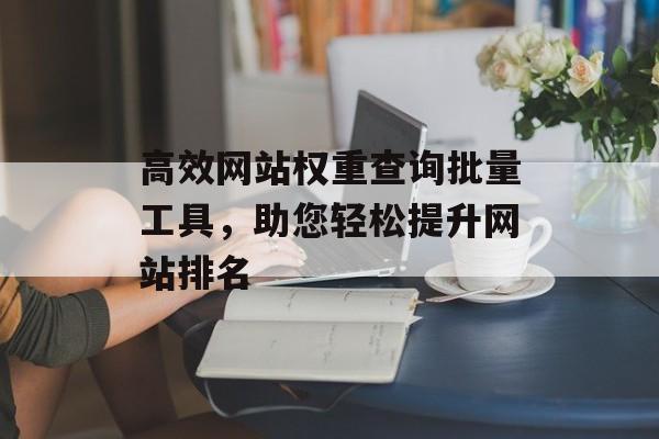 高效网站权重查询批量工具,助您轻松提升网站排名 高效网站权重查询批量工具,助您轻松提升网站排名