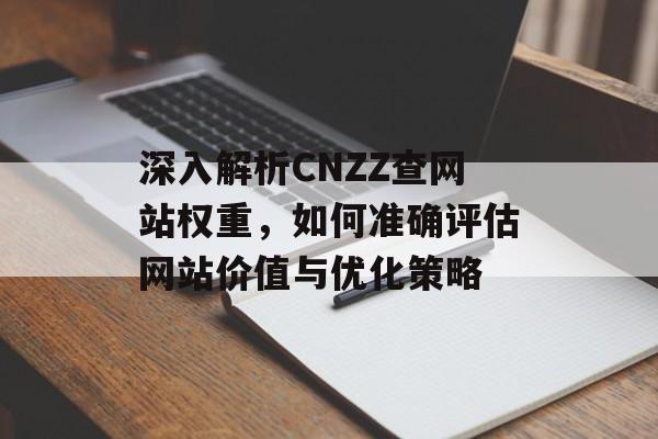 深入解析CNZZ查网站权重，如何准确评估网站价值与优化策略