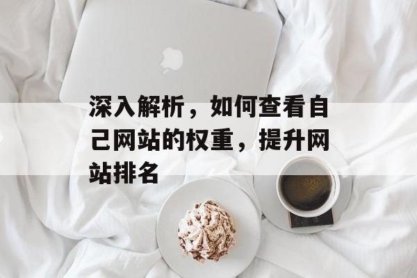 深入解析,如何查看自己网站的权重,提升网站排名 深入解析,如何查看自己网站的权重,提升网站排名
