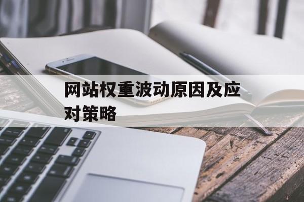 网站权重波动原因及应对策略