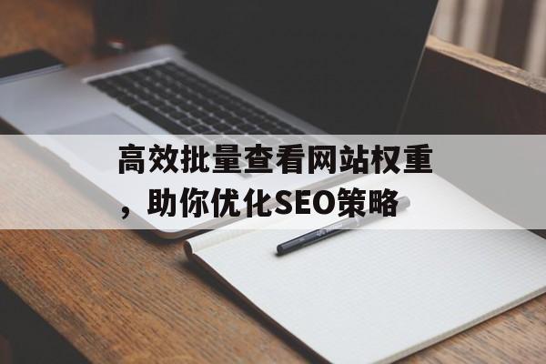 高效批量查看网站权重，助你优化SEO策略