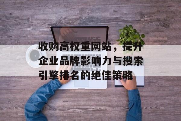 收购高权重网站，提升企业品牌影响力与搜索引擎排名的绝佳策略