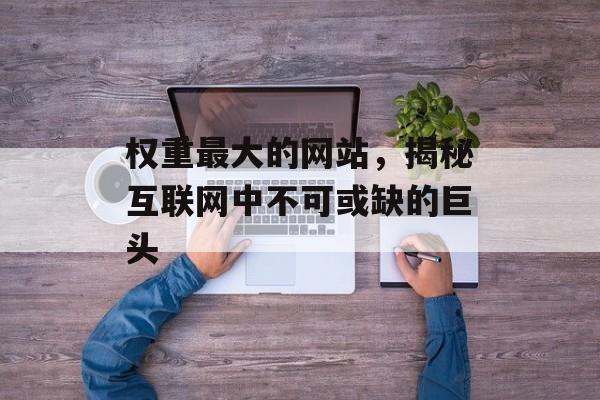 权重最大的网站，揭秘互联网中不可或缺的巨头