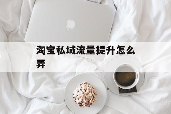 淘宝私域流量提升怎么弄