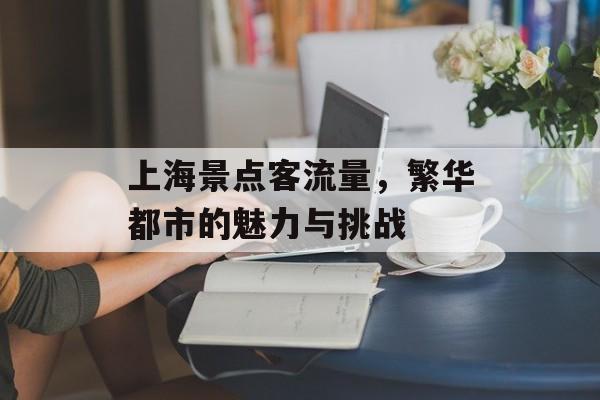 上海景点客流量,繁华都市的魅力与挑战 上海景点客流量,繁华都市的魅力与挑战