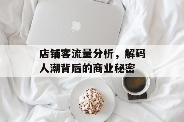 店铺客流量分析,解码人潮背后的商业秘密 店铺客流量分析,解码人潮背后的商业秘密