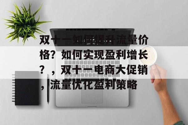 双十一如何提升流量价格?如何实现盈利增长?,双十一电商大促销,流量优化盈利策略 双十一如何提升流量价格?如何实现盈利增长?,双十一电商大促销,流量优化盈利策略