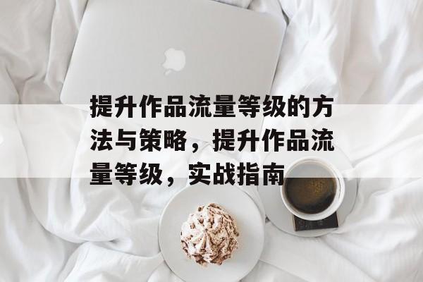 提升作品流量等级的方法与策略,提升作品流量等级,实战指南 提升作品流量等级的方法与策略,提升作品流量等级,实战指南