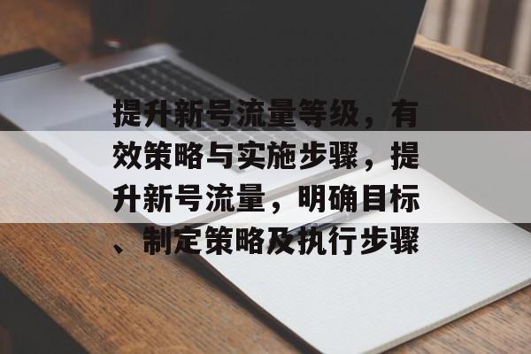 提升新号流量等级，有效策略与实施步骤，提升新号流量，明确目标、制定策略及执行步骤