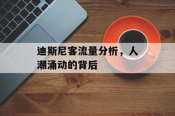 迪斯尼客流量分析,人潮涌动的背后 迪斯尼客流量分析,人潮涌动的背后