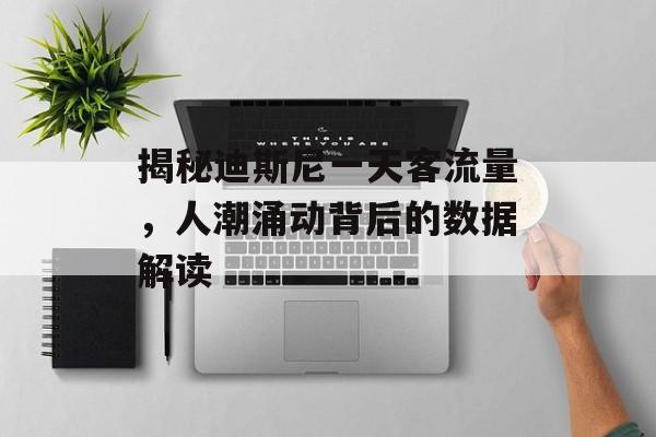 揭秘迪斯尼一天客流量，人潮涌动背后的数据解读