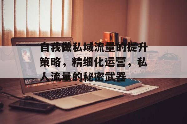 自我做私域流量的提升策略，精细化运营，私人流量的秘密武器