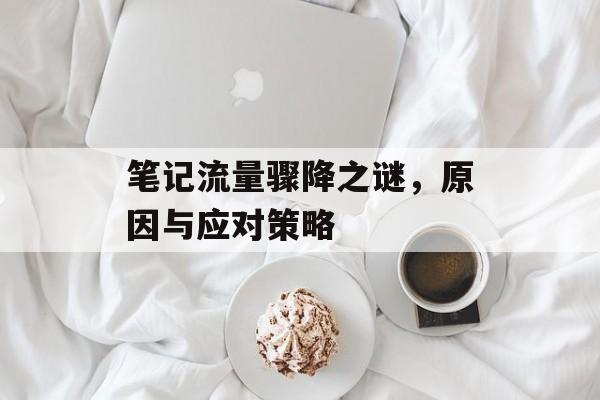笔记流量骤降之谜,原因与应对策略 笔记流量骤降之谜,原因与应对策略
