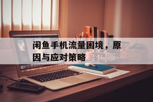 闲鱼手机流量困境，原因与应对策略